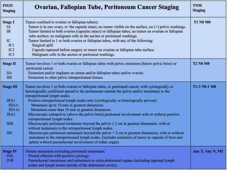 Gynecologic Cancer Staging – OB/GYN Student